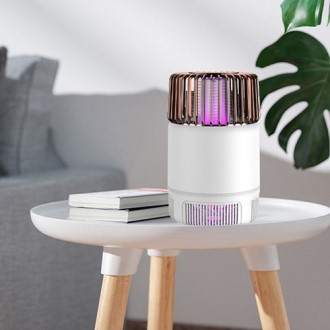 LED �����ġ�� ���Ʈ�� ������ġ��