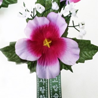 �ö�� �ڻ��� ��ȫ ����ȭ