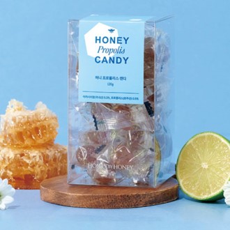 ��ī�þ� ���� ĵ��  ������Ʈ ������Ʈ