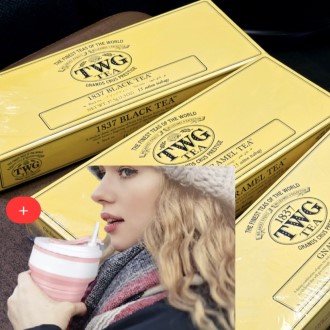 TWG ī���� ���Ƽ Ƽ��(��ī���� �����15����+���� ���� ���̽� �Һ���)